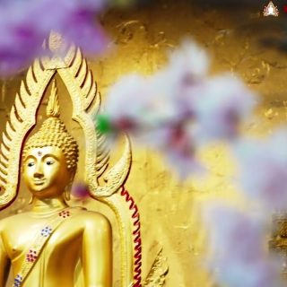 成功佛堂行政問題詢問